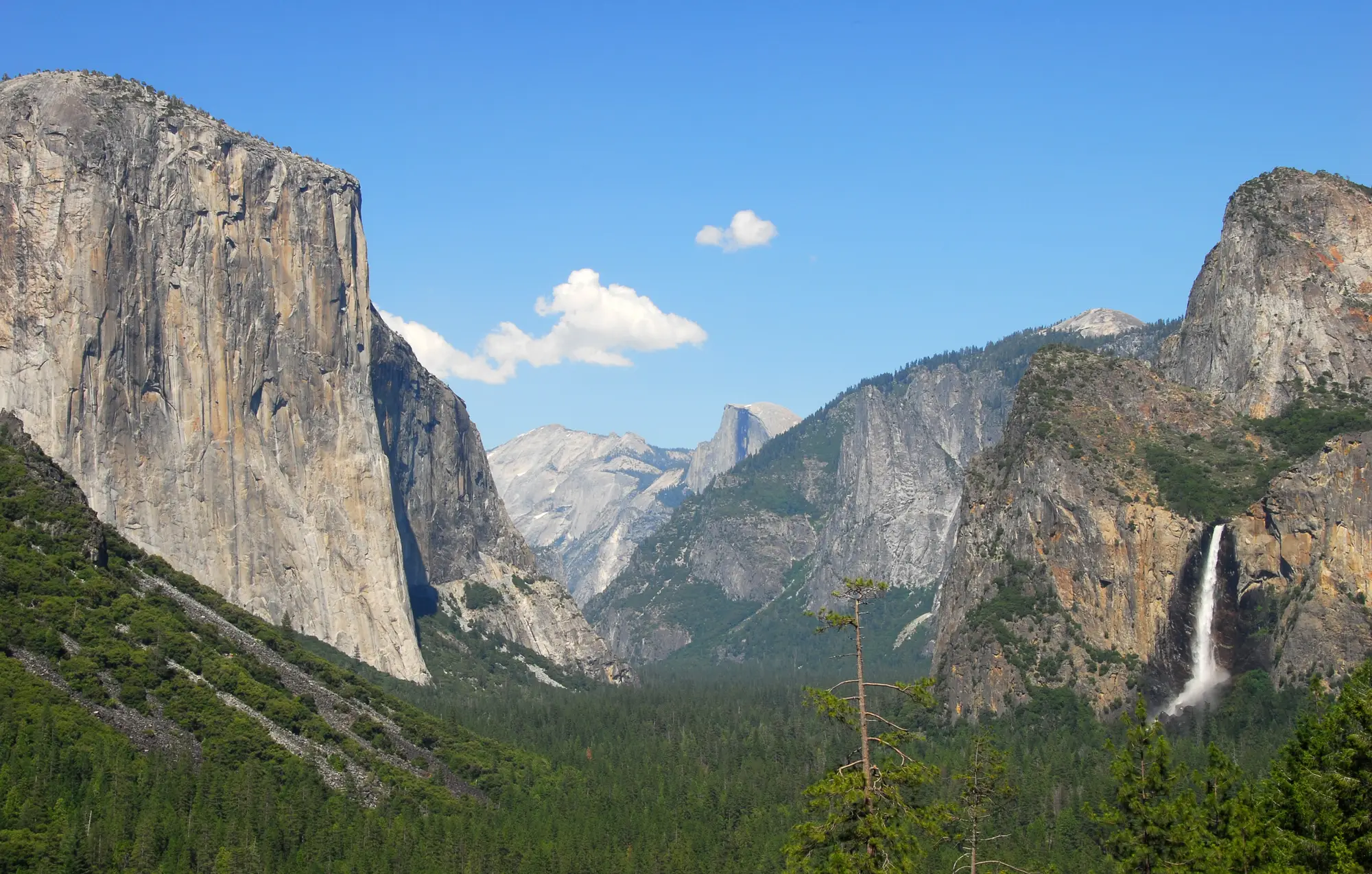 Private Yosemite Tour from San Francisco