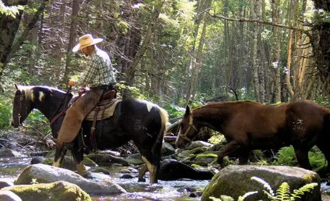 Horseback Riding in Fish Camp