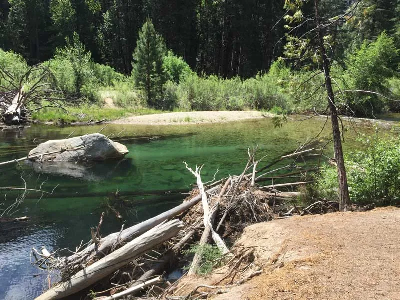 Kings Canyon National Park Tour