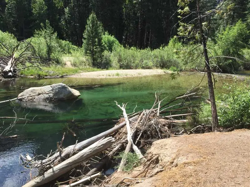 Kings Canyon National Park Tour
