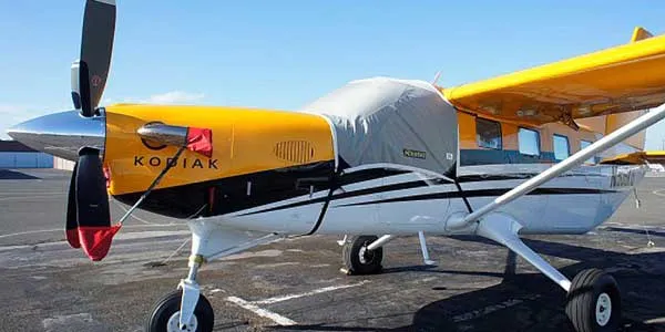 Private Small Plane Tour from San Francisco